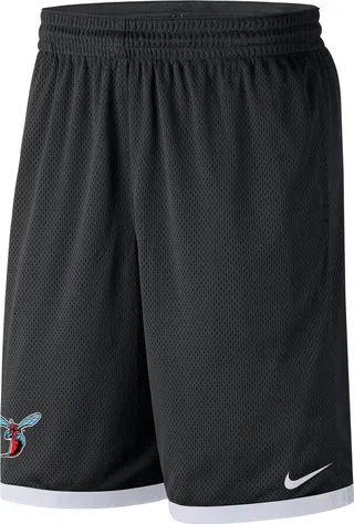 Delaware State Nike Men's College Mesh Shorts in Black