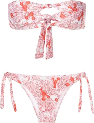 Sea Life-Print Bikini Set