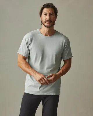 Classic Cotton Crew Tee - Cinder
