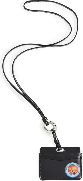 JW Anderson Cardholder with Chain Link Strap
