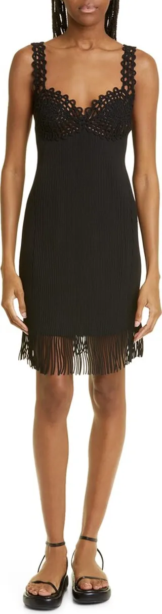 Crochet Bodice Fringe Hem Rib Sweater Dress