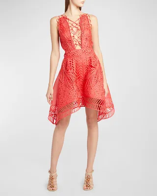 Embroidered Lace-Up Organza Mini Dress