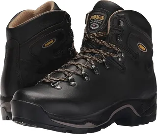 Asolo TPS 535 LTH V EVO (Brown) Men's Boots