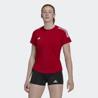 HILO Jersey