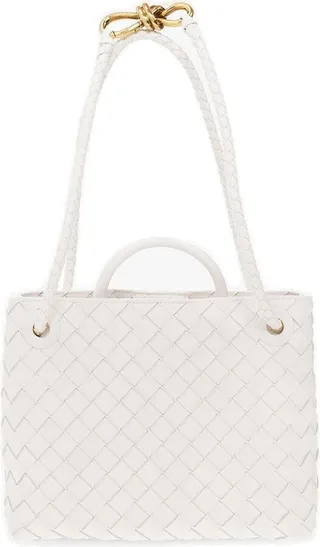 Bottega Veneta Andiamo Small Shoulder Bag