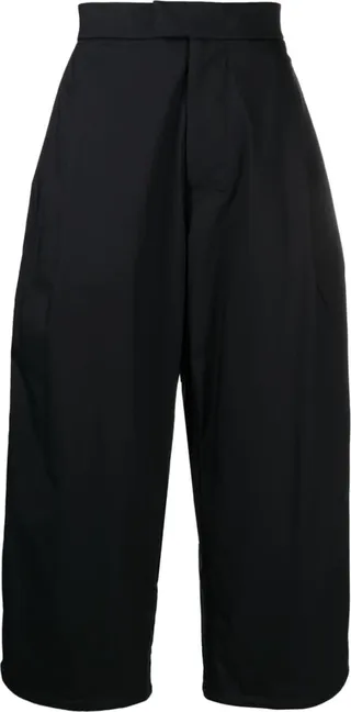 Pleated Wide-Leg Trousers