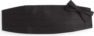 2-Piece Silk Bow Tie & Cummerbund Set
