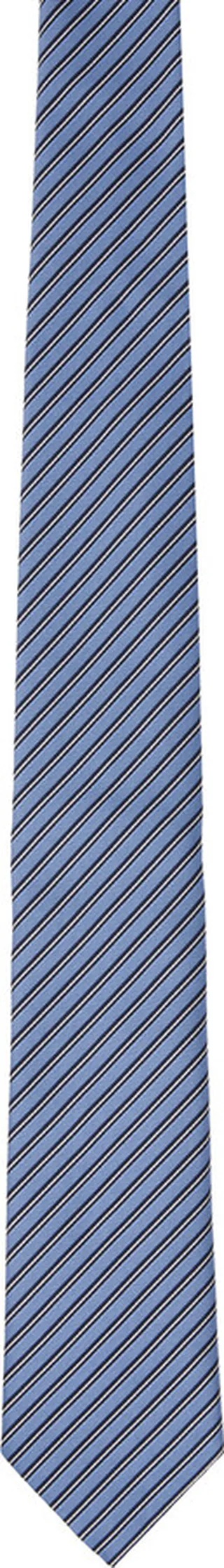 ZEGNA Blue Striped Tie