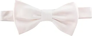 Silk bow tie