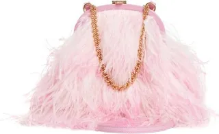 Frame Chain Crossbody Bag