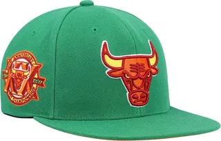 Men's Mitchell & Ness Green Chicago Bulls 20th Anniversary Like Mike Snapback Hat