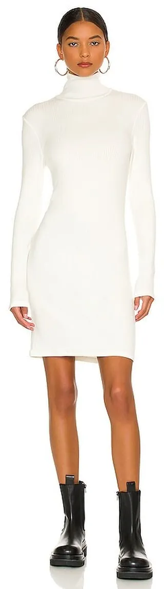 Tencel Cashmere Rib Long Sleeve Zip Turtleneck Mini Dress