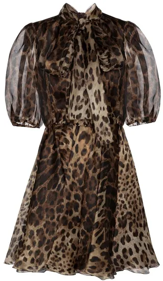 Leopard-print silk organza minidress