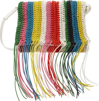 Chloé Multicolor Fringe Bag