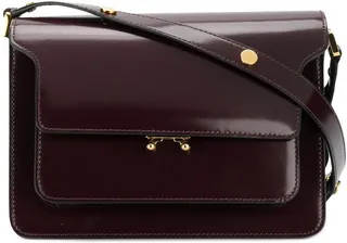Trunk shoulder bag