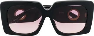 Amber D-frame sunglasses