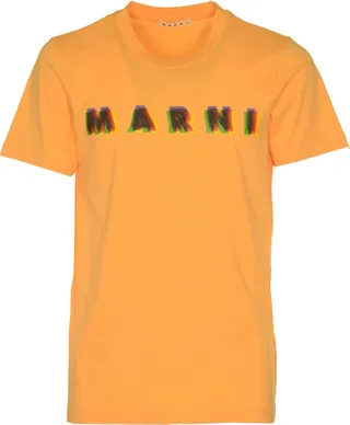 3d Colors Organic T-shirt