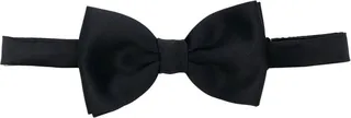 Blue Papillon Bow Tie