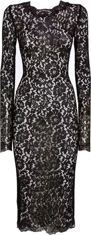 Fitted stretch lace midi dress
