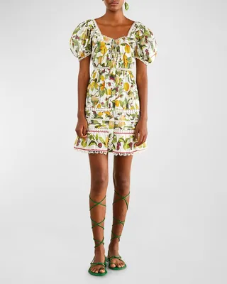 Fruit Orchard Tiered Embroidery Mini Dress