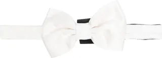 Silk Bow Tie