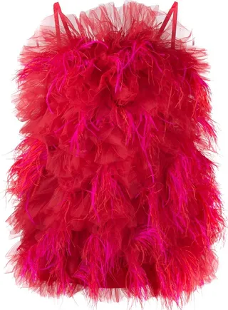 Ruffled Tulle Mini Dress