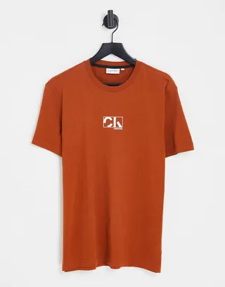 Calvin Klein graphic box logo T-shirt in rust
