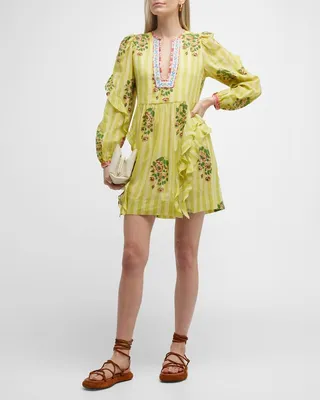 Winslow Floral Striped Mini Dress