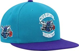 Men's Mitchell & Ness Teal and Purple Charlotte Hornets Hardwood Classics Snapback Hat