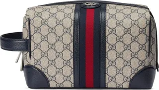 Savoy GG Supreme mini bag
