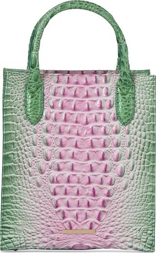 Brahmin Moira Ombre Melbourne Embossed Small Leather Tote