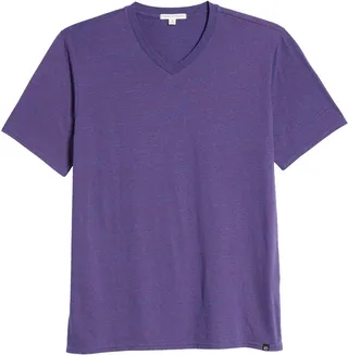 Slim Fit V-Neck T-Shirt