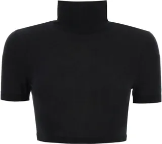 Max Mara 'aire' Cropped Turtleneck Top