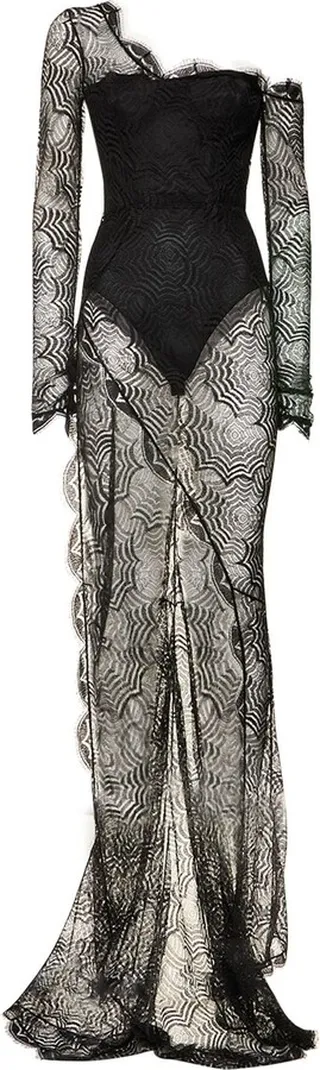Viscose web lace sleeved long dress