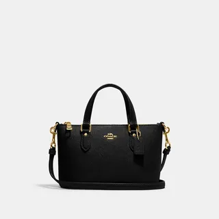 Mini Gallery Crossbody