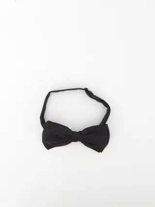 Silk Bow Tie