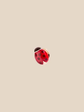 Dodo ladybug earring in 9 kt rose gold and colored enamel