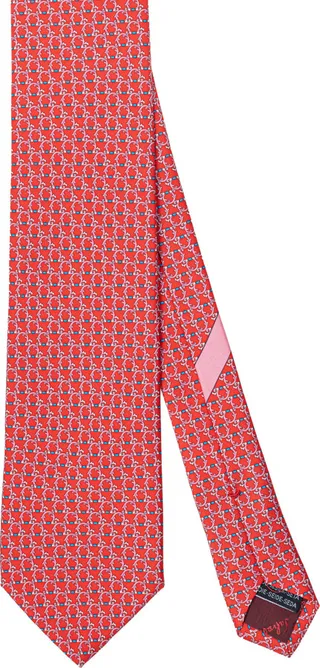 Salvatore silk tie