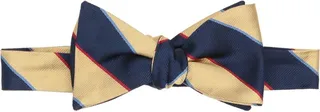 Ties & Bow Ties Midnight Blue