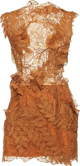 Embroidered tulle mini dress