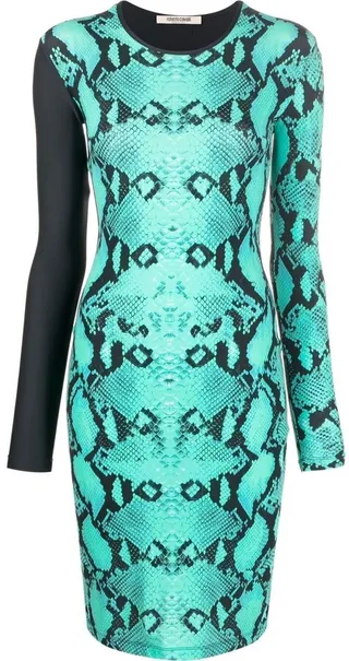 Snakeskin-Print Long-Sleeved Dress