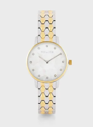 Chapada Steel Strap Analog Watch
