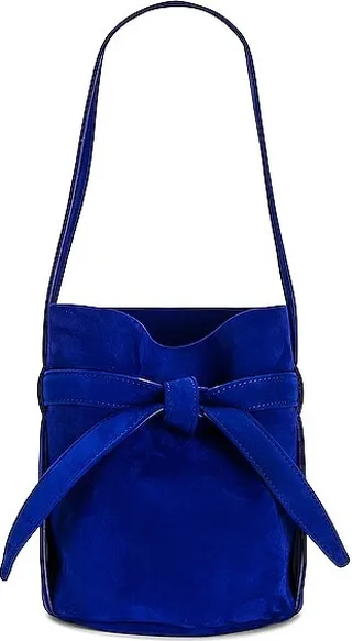 The Row Mini Leo Bag in Royal