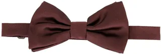 Hooked Bow Tie