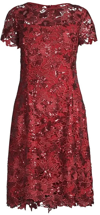 Sequin Lace Fit & Flare Dress