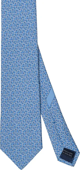 Salvatore silk tie