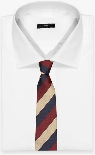 Tie 'regimental' Tie