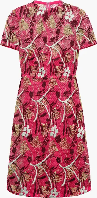 Embroidered cotton-blend guipure lace mini dress