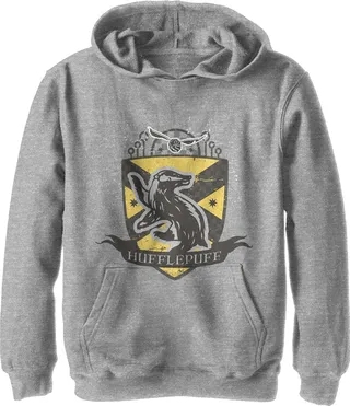 Boy's Harry Potter Hufflepuff Snitch Crest Pull Over Hoodie - Athletic Heather - Large
