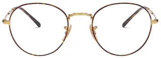 Ray-Ban Round Frame Glasses